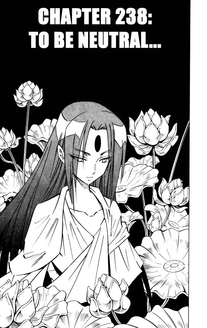 Shaman King Chapter 238 3